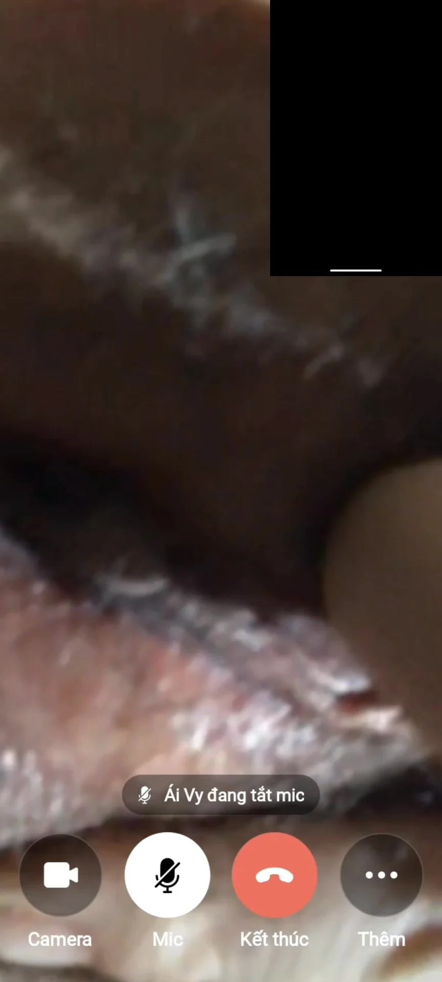 Ái Vy p2